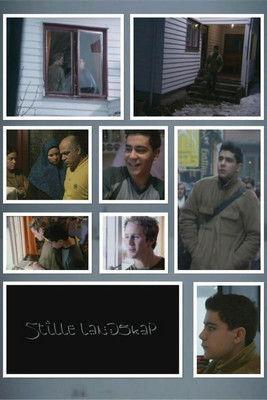 The Silent Landscape film afişi