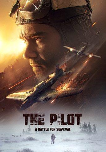 The Pilot: A Battle for Survival film afişi