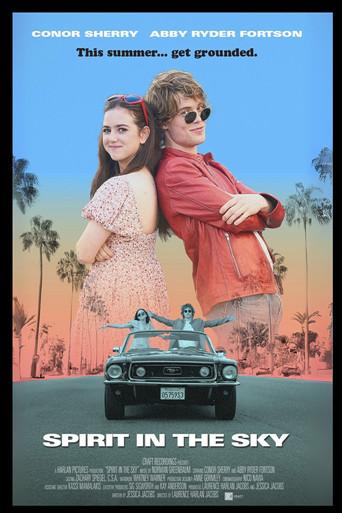 Spirit in the Sky film afişi