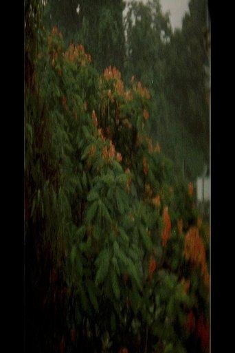 A Fortress film afişi