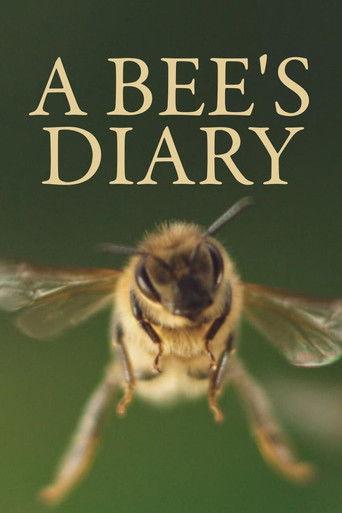A Bee's Diary film afişi