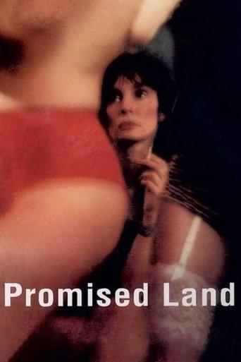 Promised Land film afişi