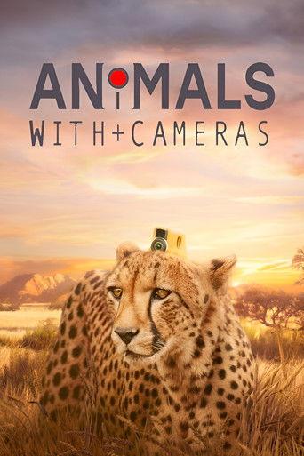 Animals with Cameras dizi afişi