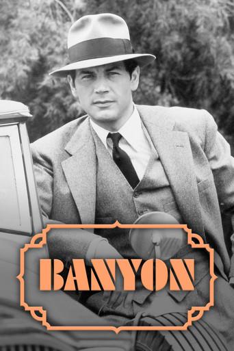 Banyon film afişi