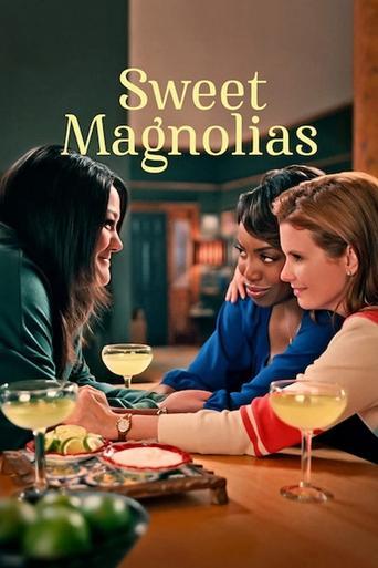 Sweet Magnolias dizi afişi