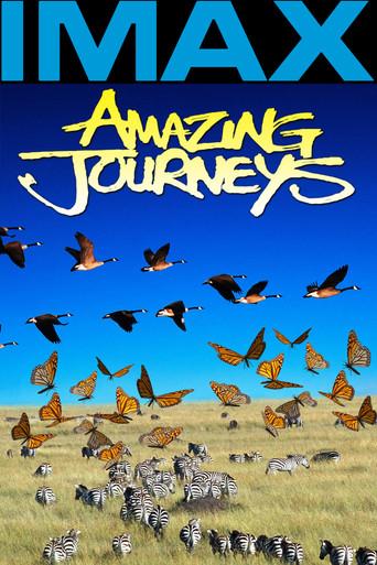 Amazing Journeys film afişi
