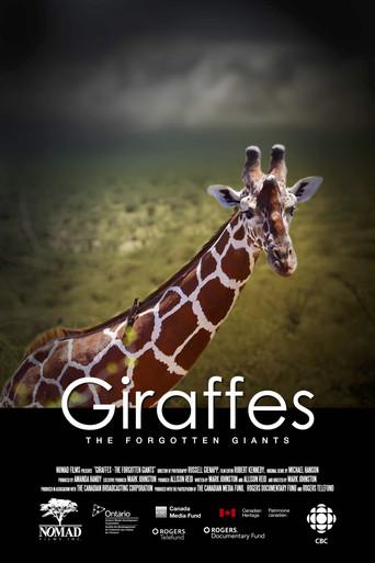 Giraffes: The Forgotten Giants film afişi