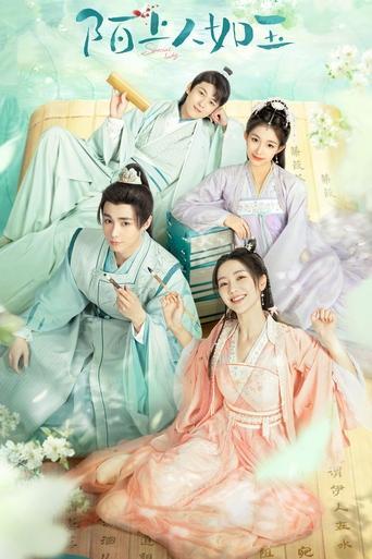 Special Lady dizi afişi