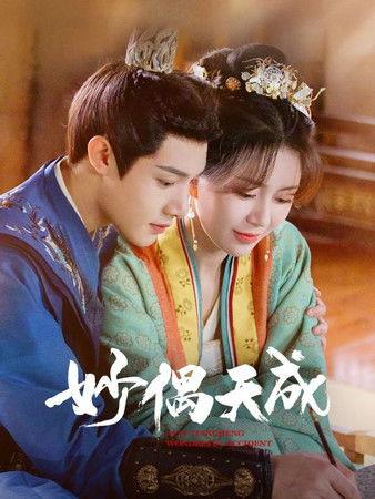 Wonderful Accident dizi afişi