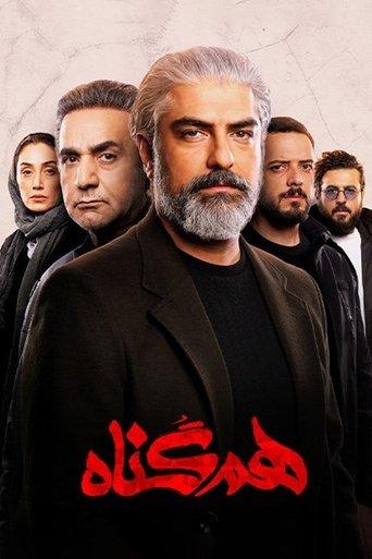 The Accomplice dizi afişi