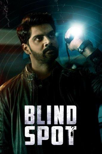 Blind Spot film afişi