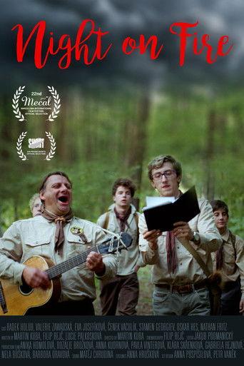 Night on Fire film afişi