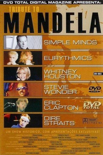 The Nelson Mandela 70th Birthday Concert film afişi