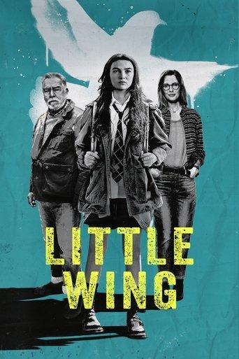 Little Wing film afişi