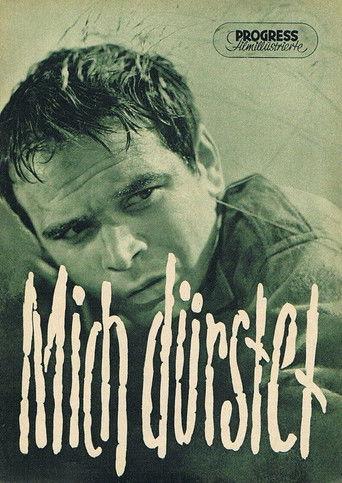 Mich dürstet film afişi