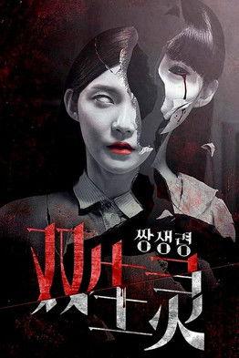 Twin Spirit film afişi