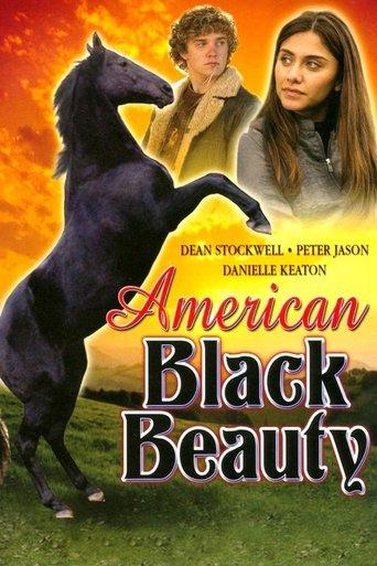 American Black Beauty film afişi