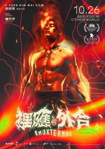 Inexternal film afişi