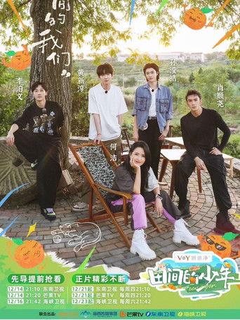 田间的少年 dizi afişi