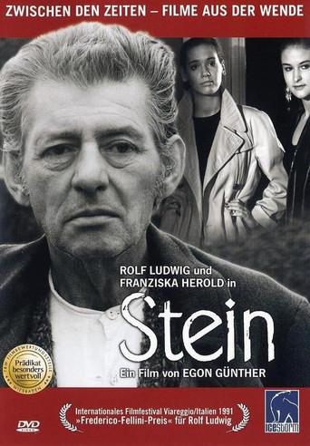 Stein film afişi
