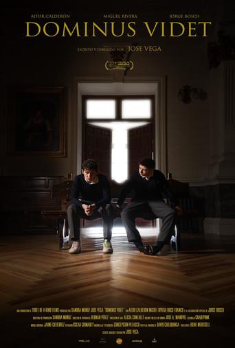 Dominus videt film afişi