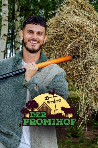 Der Promihof dizi afişi