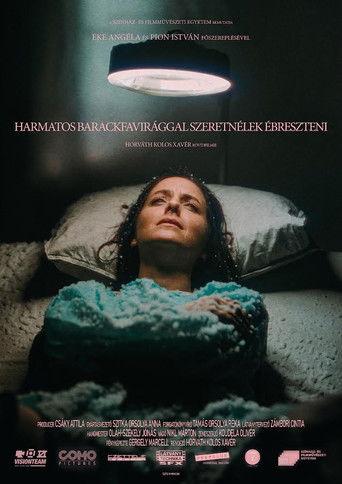 waking you with dewy peach blossoms film afişi