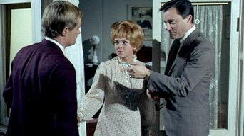 The Bridge of Lions Affair (2)