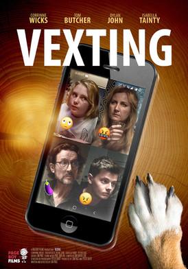Vexting film afişi
