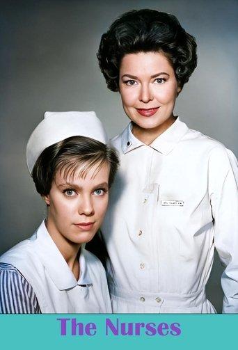 The Nurses dizi afişi