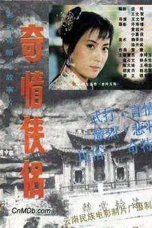 奇情侠侣 film afişi