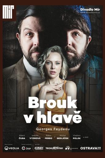 Brouk v hlavě film afişi