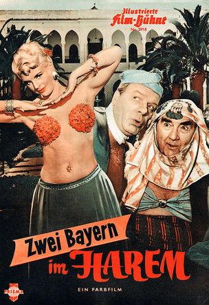 Zwei Bayern im Harem film afişi