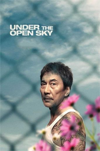 Under the Open Sky film afişi