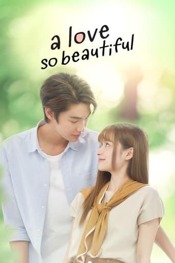 A Love So Beautiful dizi afişi