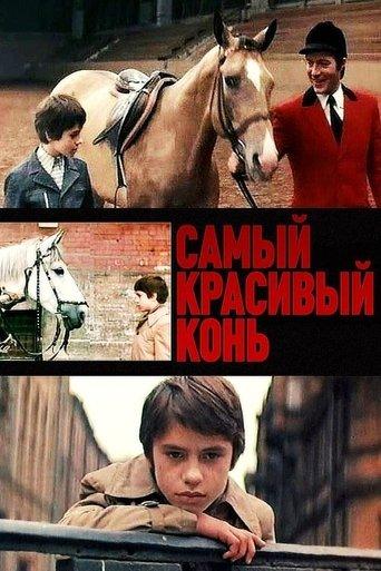 The Most Beautiful Horse film afişi