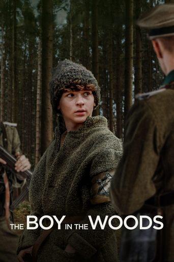 The Boy in the Woods film afişi
