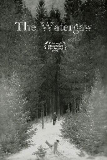 The Watergaw film afişi