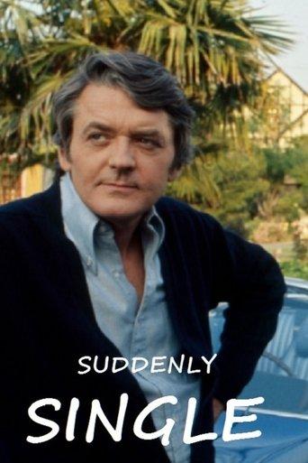 Suddenly Single film afişi