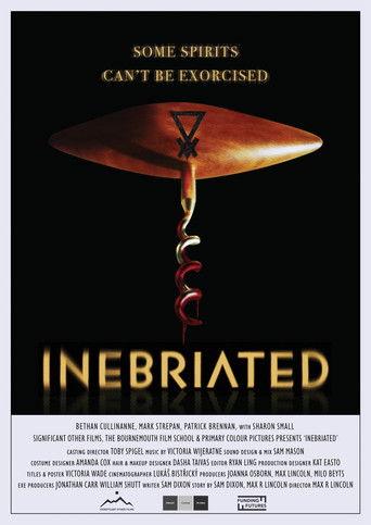 Inebriated film afişi