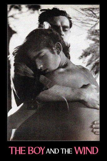 The Boy and the Wind film afişi