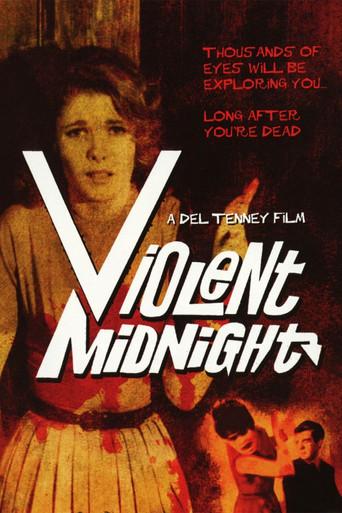 Violent Midnight film afişi