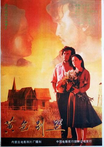 黄色别墅 film afişi