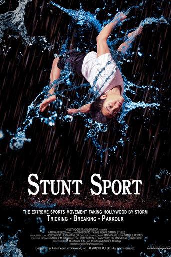 Stunt Sport film afişi