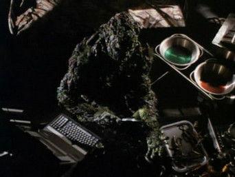 Walk a Mile in My Shoots