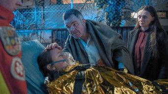 Vienna - Home Sweet Home