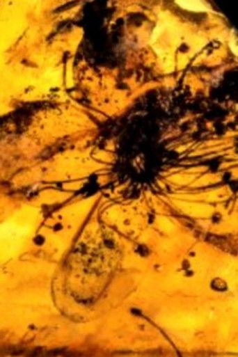 Untitled #9: Nor All Flowers of Foul film afişi