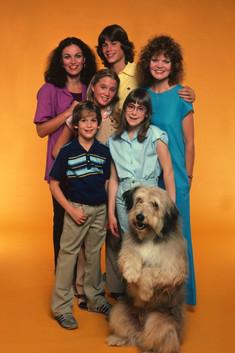 A New Kind of Family dizi afişi