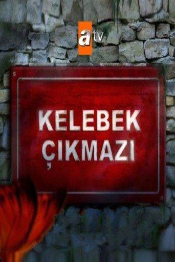 Kelebek Çıkmazı dizi afişi