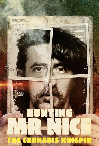 Hunting Mr Nice: The Cannabis Kingpin dizi afişi